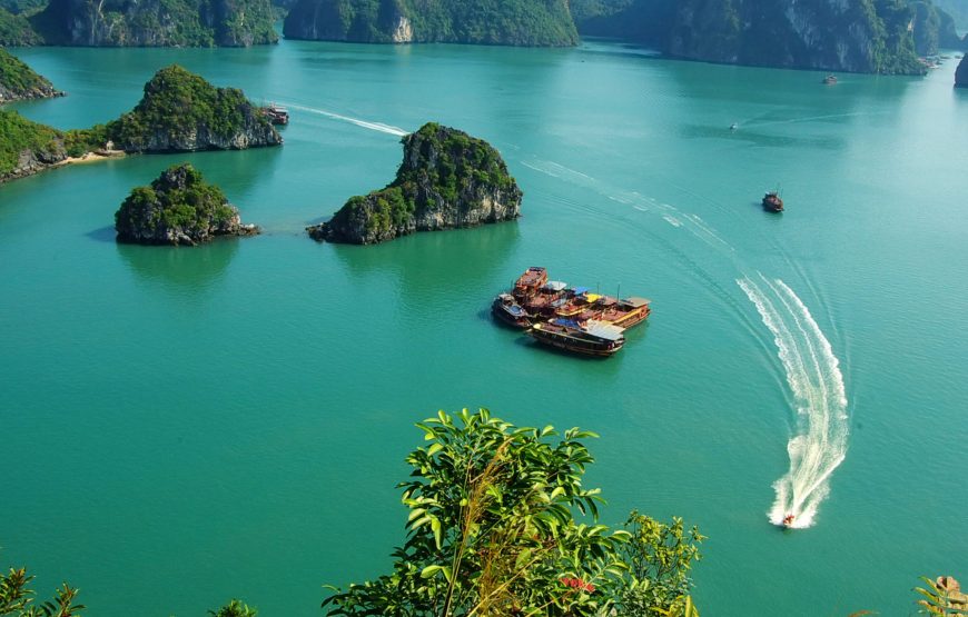 Halong Day Tour