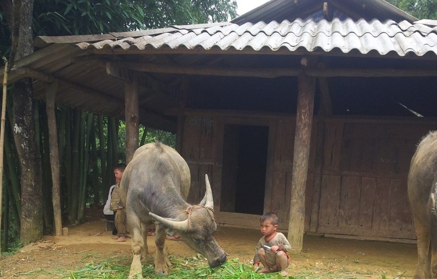 A Glimpse Of Sapa 2 days