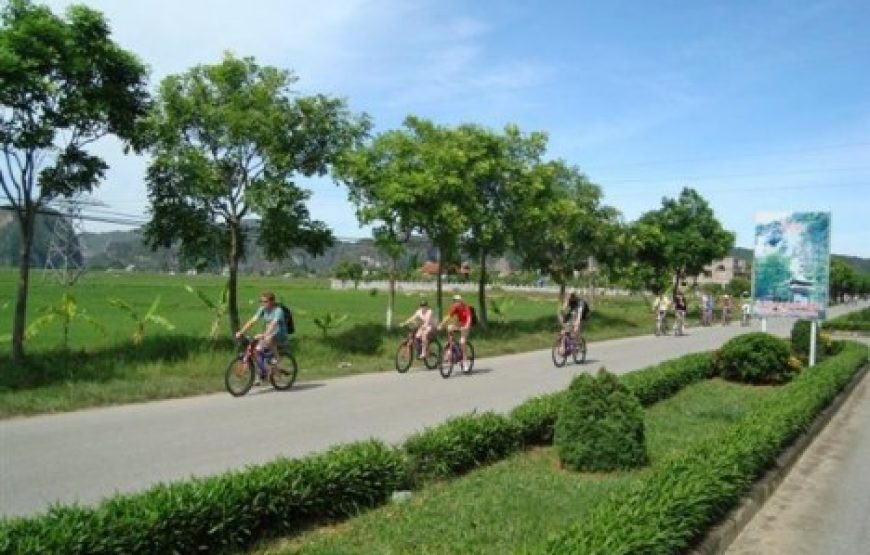 01 Day Ninh Binh: Hoa Lu – Tam Coc