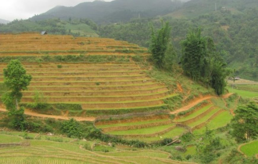 Sapa Trekking 2 days – Homestay