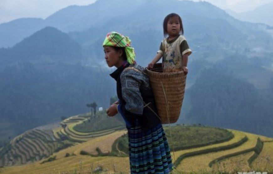 Highlights Sapa with Fansipan Mountain 2 days