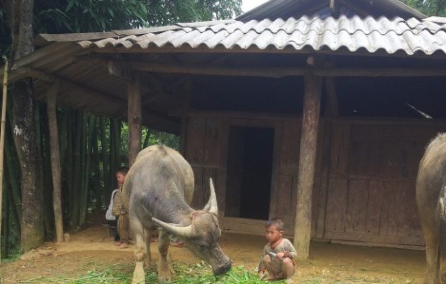 Highlights Sapa with Fansipan Mountain 2 days