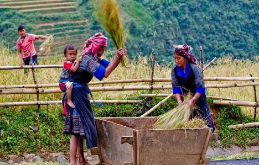 Sapa Trekking 2 days – Homestay