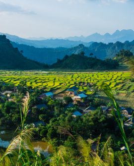 Mai Chau