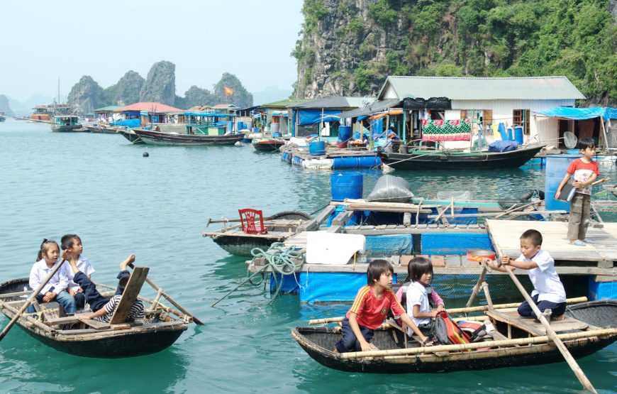 Halong Day Tour