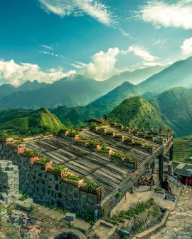 Sapa