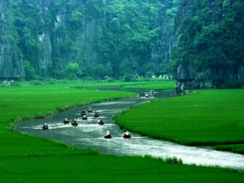 01 Day Ninh Binh: Hoa Lu – Tam Coc