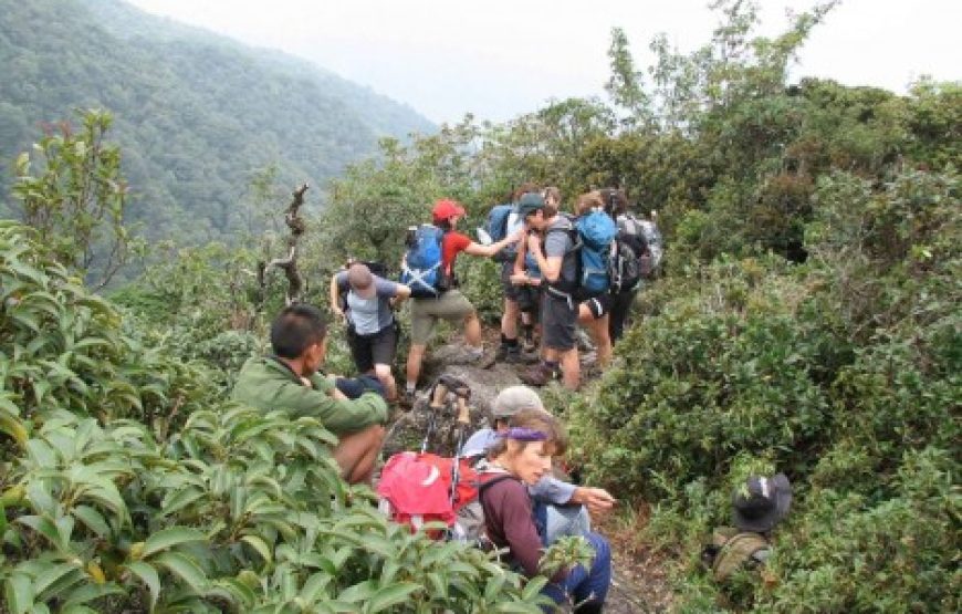 Highlights Sapa with Fansipan Mountain 2 days